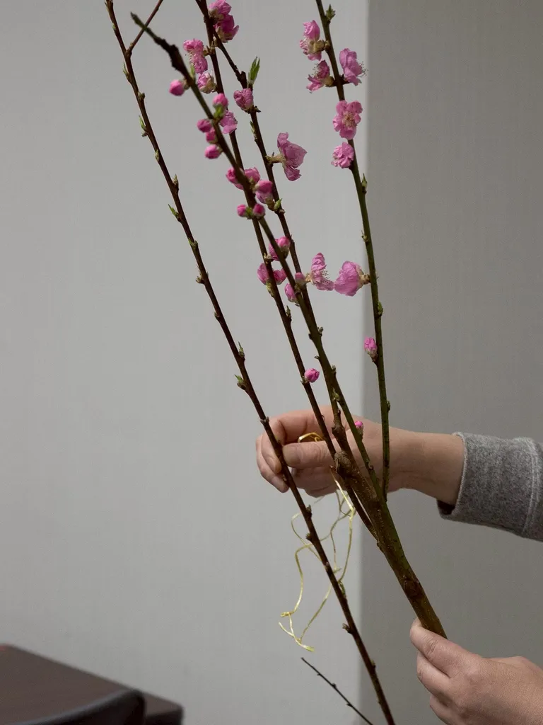 ワークショップの様子17