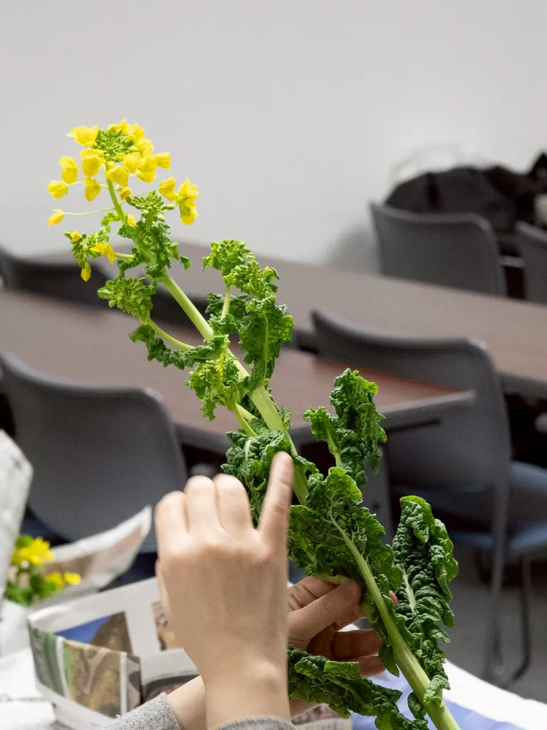 ワークショップの様子22